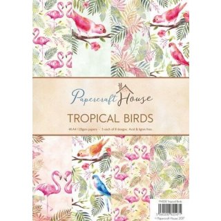40 Scrapbooking A4 Papier Wild rose Studio Paper Pad Tropical Birds 120gsm