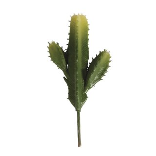 Säulenkaktus Steingarten Gewächs Minigarten unecht Kaktus Wüstenpflanze