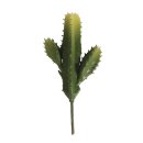 Säulenkaktus Steingarten Gewächs Minigarten unecht Kaktus Wüstenpflanze