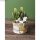 S&auml;ulenkaktus Steingarten Gew&auml;chs Minigarten unecht Kaktus W&uuml;stenpflanze 