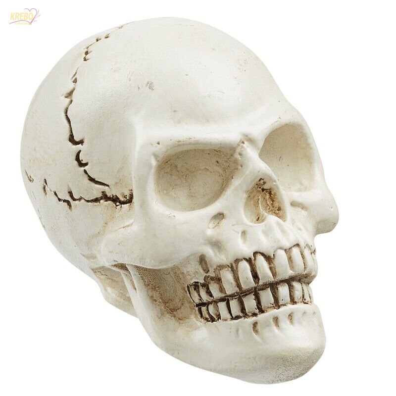 https://krebo-shop.de/media/image/product/3257/lg/polyresin-streudeko-deko-miniatur-minigarten-puppenhaus-totenkopf-schaedel-skull.jpg