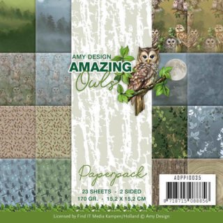 Scrapbooking Papier Motive Amazing Owls 15,2x15,2 cm Paper Pack Amy Design