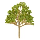 1 Baum Laubbaum Modell ca 8cm Miniatur Baum für...