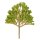 1 Baum Laubbaum Modell ca 8cm Miniatur Baum für Minigarten Puppenhaus Deko