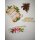 Heartfelt Creations Silent night scroll Stempel und Stanzen Set f. Stanzmaschine