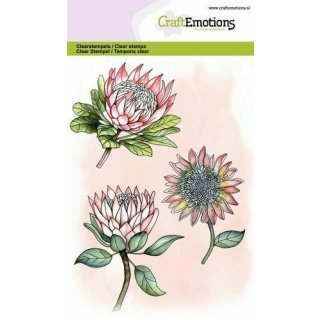 Silikonstempel Clear Stamps Hintergrund Craft Emotions A6 Proea Zuckerbüsche