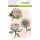 Silikonstempel Clear Stamps Hintergrund Craft Emotions A6 Proea Zuckerbüsche