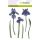 Silikonstempel Clear Stamps Craft Emotions Blumen Blüten Sommer Iris Schwertilie