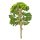 1 Baum Laubbaum Modell ca 12 cm Miniatur Baum für Minigarten Puppenhaus Deko