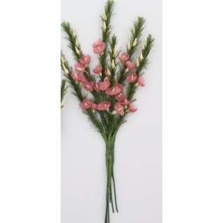 1 Bund Erikablüte Sträusschen 6 Zweige a 4 Blüten Miniatur Dekozweig rosa