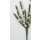 1 Bund Erikablüte Sträusschen 6 Zweige a 4 Blüten Miniatur Dekozweig weiß